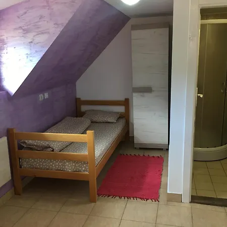 Ostello Banja Gornja Trepca-smestaj Grof *