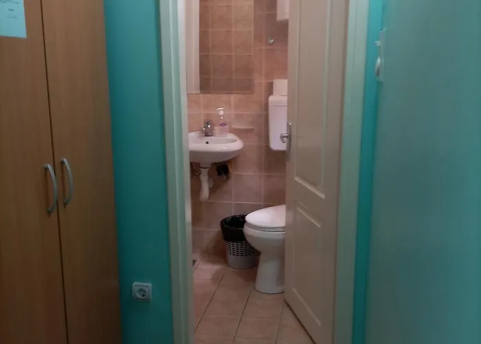 Hostel Banja Gornja Trepca-smestaj Grof Gornja Trepča