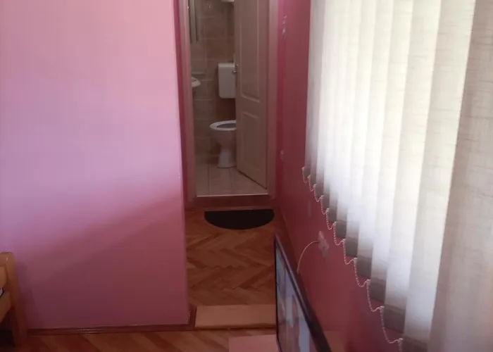 Hostel Banja Gornja Trepca-smestaj Grof