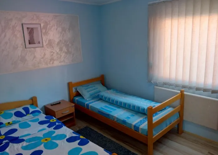 Hostel Banja Gornja Trepca-smestaj Grof *